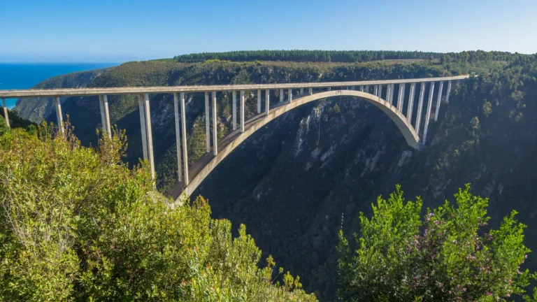 Tall concrete arch bridge over deep forest valley