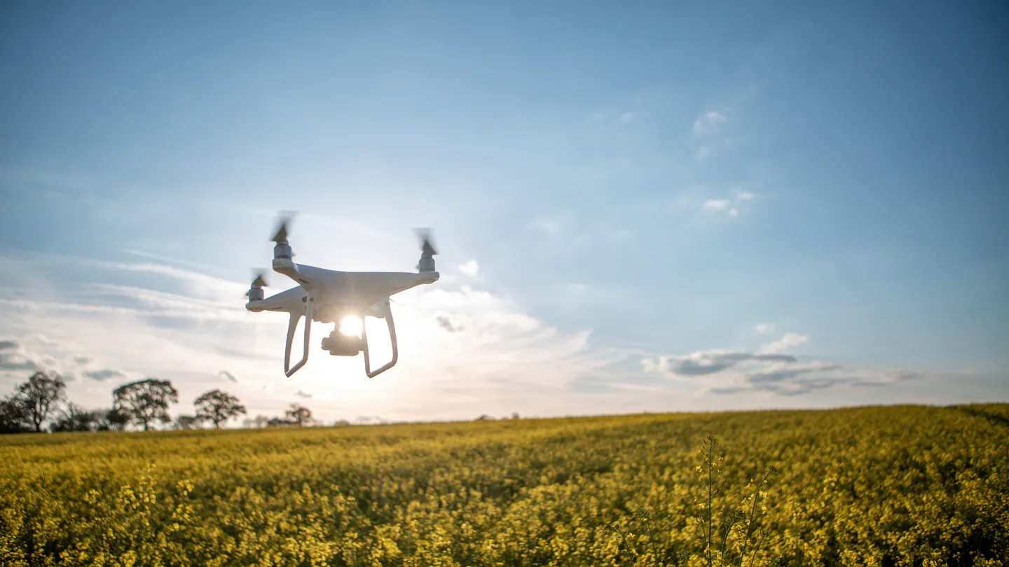 Drone flying over yellow flower field at sunset