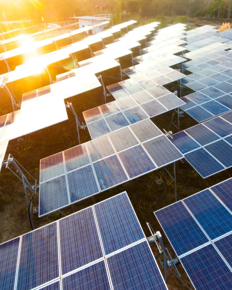 Solar panels capturing sunlight for renewable energy